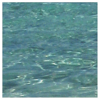 タヒチ青い熱帯水生地 ファブリック