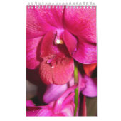 タヒチ カレンダー (カバー)