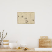 タヒチ・ソサエティ・アイレス ポスター (キッチン)