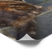 タビタウィッチット&ムンゴジェリー ポスター (角)