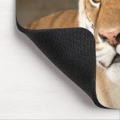 タビタ マウスパッド (コーナー)