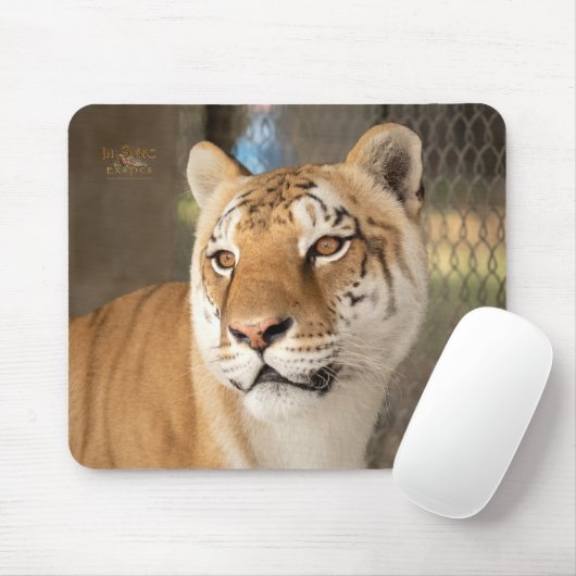 タビタ マウスパッド (マウス)