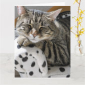 タビーキャットおもしろいかわいい誕生日カード カード (黄色い花)