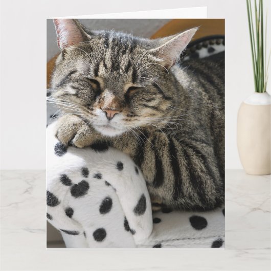タビーキャットおもしろいかわいい誕生日カード カード (正面)