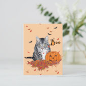 タビーキャットのハロウィン ポストカード (スタンド正面)