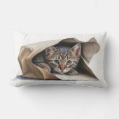 タビーキャットイン紙バッグ ランバークッション (正面)