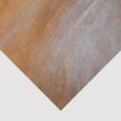 タビーキャットオレンジ白くて可愛いフワフワ美しい 薄葉紙 (詳細)