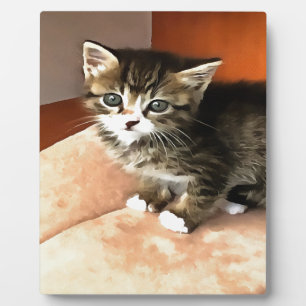 タビーキャットキッテンペットポートレート フォトプラーク