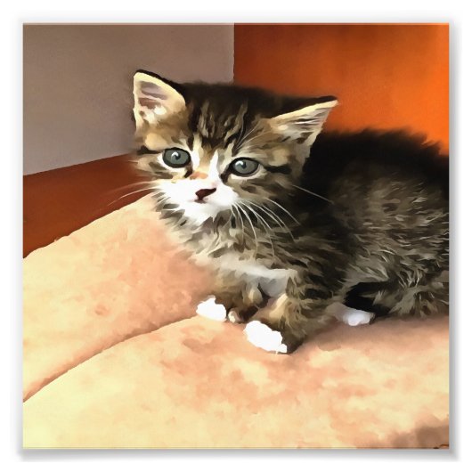 タビーキャットキッテンペットポートレート フォトプリント            (正面)