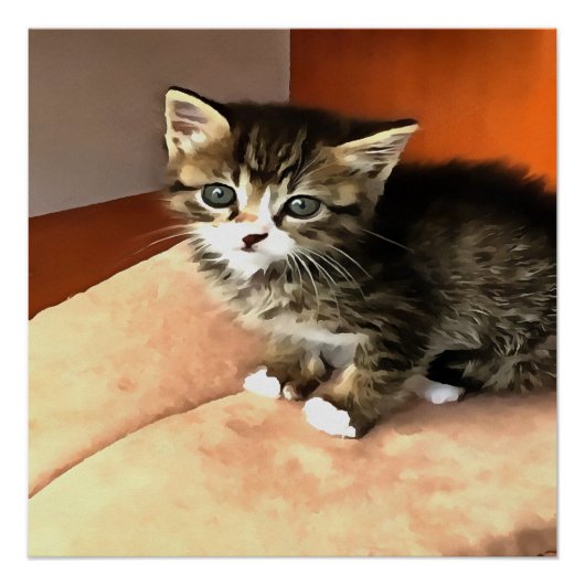 タビーキャットキッテンペットポートレート ポスター (正面)