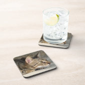 タビーキャットコースター コースター (右側)