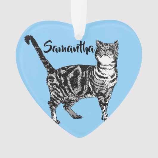 タビーキャットパステルブルーメリークリスマスデコレーション オーナメント (正面)