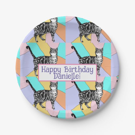 タビーキャットパステル誕生日キャッツケーキお願いボックス ペーパープレート (正面)