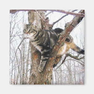 タビーキャットマグネット マグネット