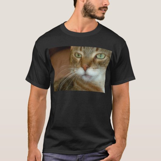 タビーキャットラブ Tシャツ (正面)