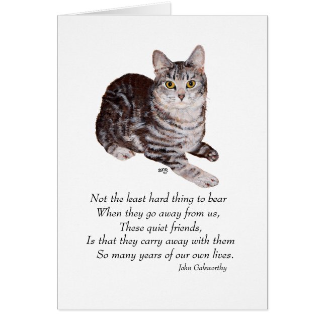 タビーキャットレインボーブリッジ (正面)