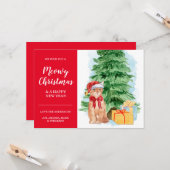 タビーキャット安いクリスマスサンタハットカード カード (正面/裏面インサイチュ)