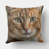 タビーキャット装飾用クッション クッション (裏面)