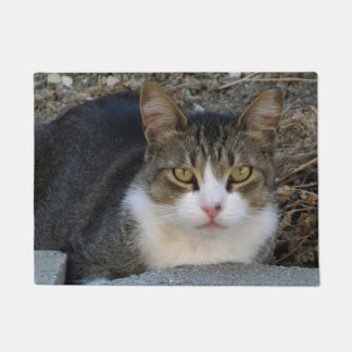 タビーキャット（緑の目） ドアマット
