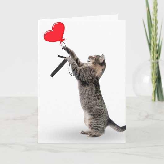 タビーキャットfor 7誕生日 カード (正面)