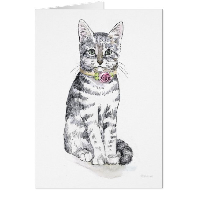 タビーファンシーネコ (正面)