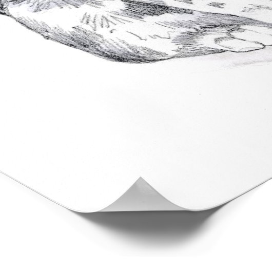 タビーファンシーネコ ポスター (角)