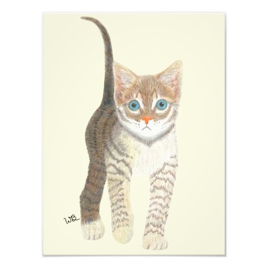タビー子猫ポスター フォトプリント            (正面)