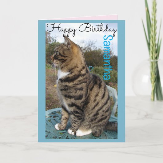 タビー猫かわいい猫ストライプの誕生日カード カード (正面)