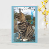 タビー猫かわいい猫ストライプの誕生日カード カード (黄色い花)