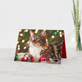 タビー猫とクリスマスオーナメント シーズンカード