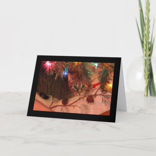 タビー猫のクリスマスツリーカード カード (正面)