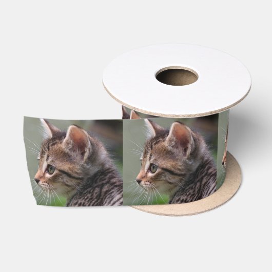 タビー猫の子猫の肖像 3" サテンリボン (リール)