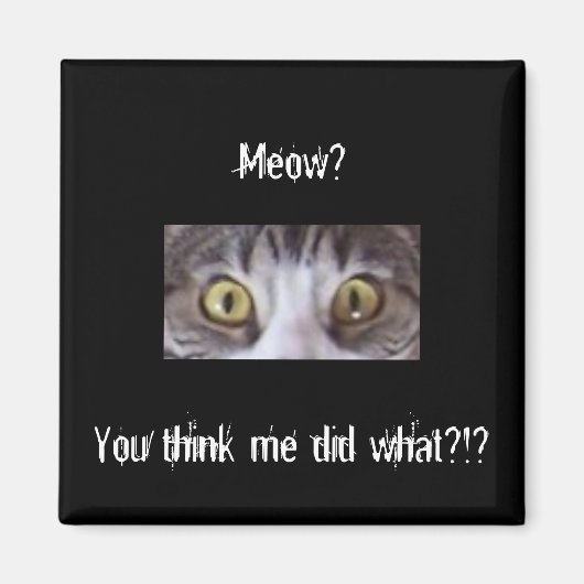 タビー猫の目 マグネット (正面)