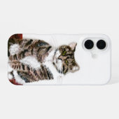 タビー猫の絵 iPhone 16ケース (裏面横)