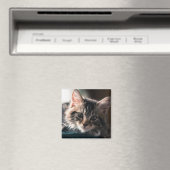 タビー猫の若者2 マグネット (インサイチュ (食洗機))