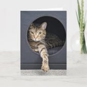 タビー猫の誕生日 カード (正面)