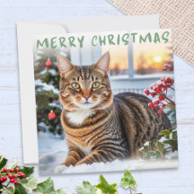 タビー猫の雪の優雅な楽しいクリスマス