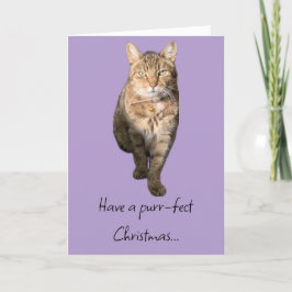 タビー猫の魅力的クリスマスカード サンキューカード