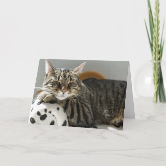 タビー猫の「チル」誕生日カード 誰にでも カード (正面)