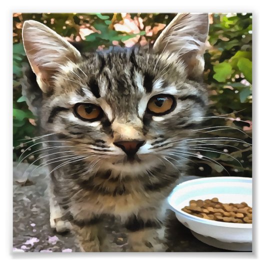 タビー猫ネコ目連絡 フォトプリント            (正面)