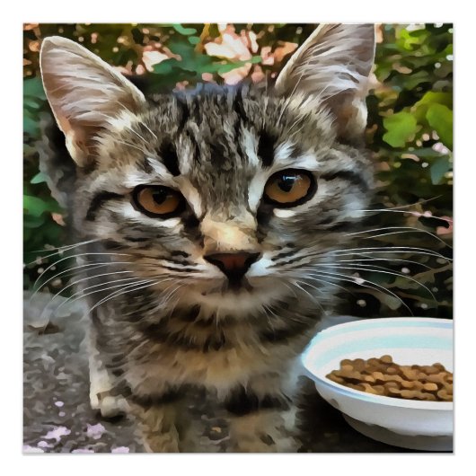 タビー猫ネコ目連絡 ポスター (正面)