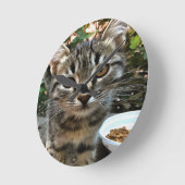 タビー猫ネコ目連絡 ラウンド壁時計 (傾斜)
