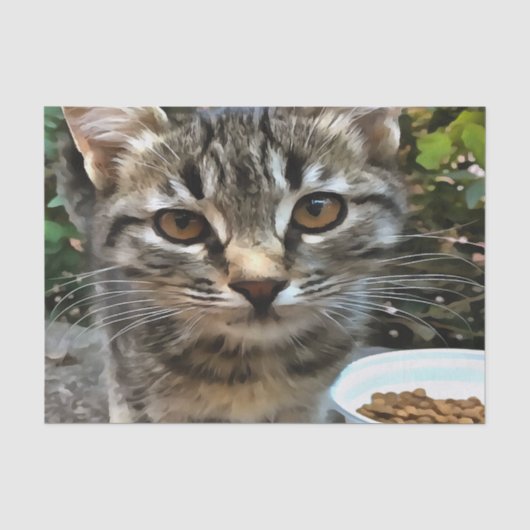 タビー猫ネコ目連絡 薄葉紙 (正面)