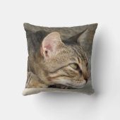 タビー猫ピロー クッション (裏面)