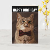 タビー猫ボウタイ誕生日グリーティングカード カード (黄色い花)