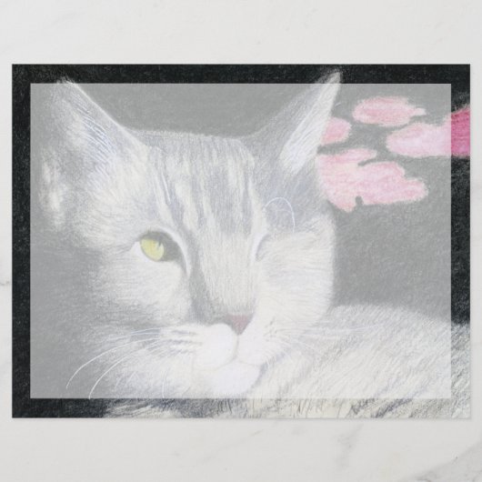 タビー猫 (正面)