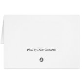 タビー猫 (裏面横)