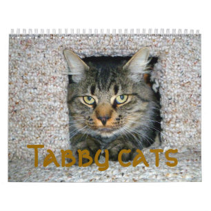 タビー猫 カレンダー