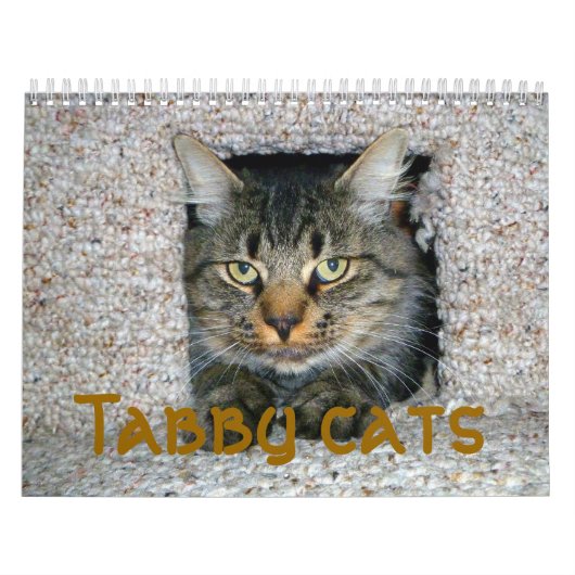 タビー猫 カレンダー (カバー)