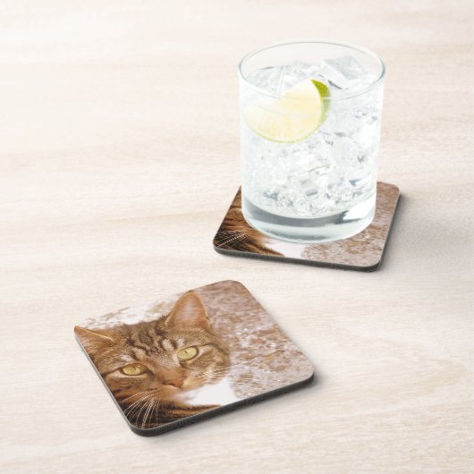 タビー猫 コースター (右側)